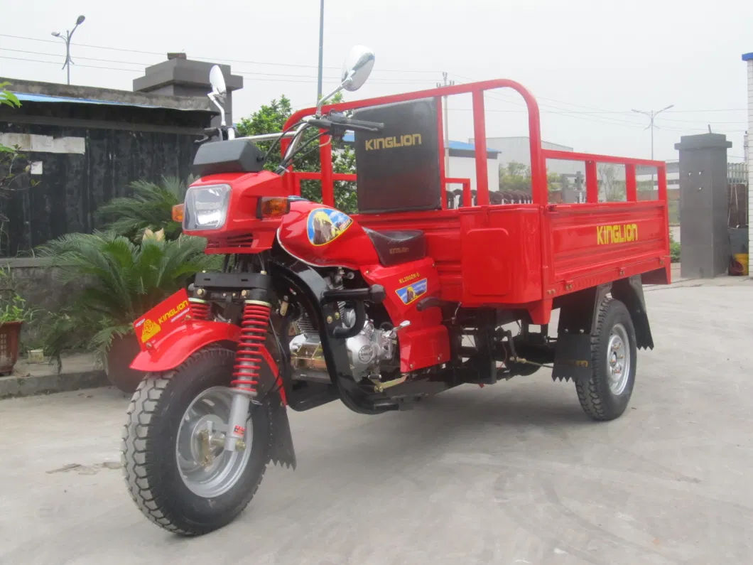 Fuel Cargo Tricycle Auto Rickshaw Passenger Three Wheel Motorcycle