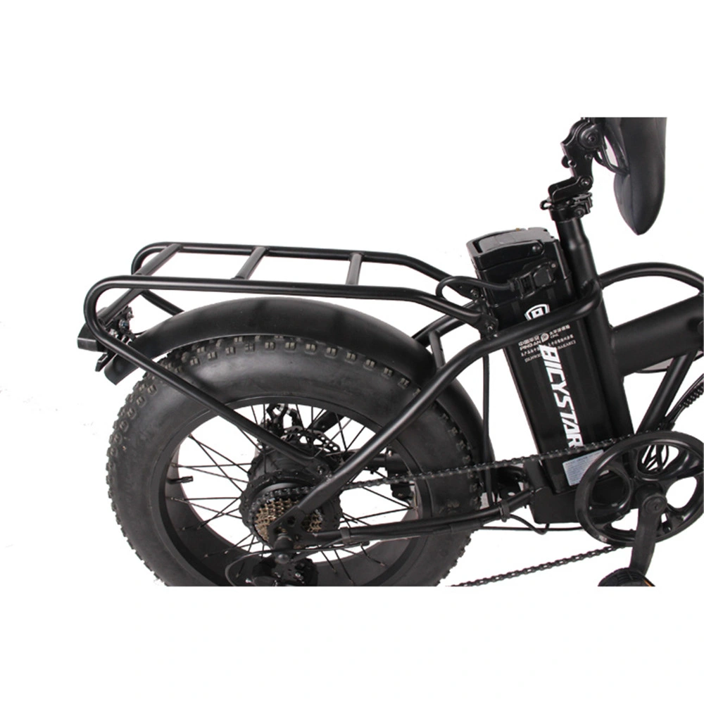 Fat Bike Fat Boy 1000W 750W with Suspension Fatbike Foldable Electric Bike