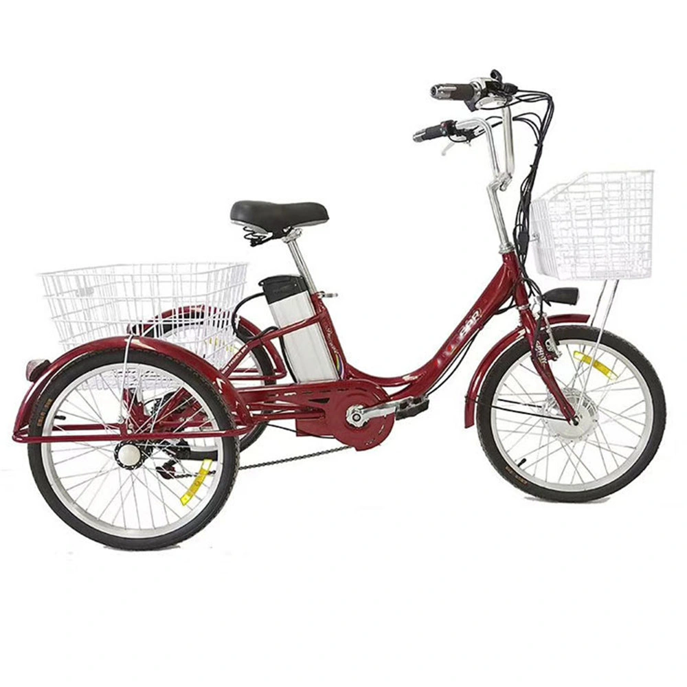 Adult Electric Tricycle 2