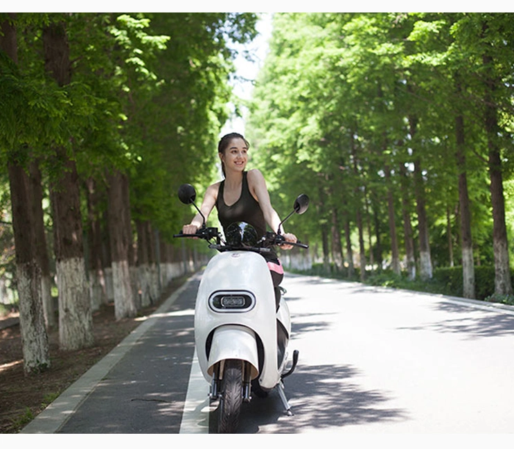 Lithium Battery Motorcycle Scooter Electric Moped for Adult