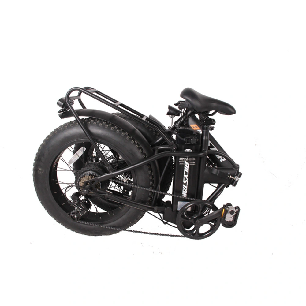 Fat Bike Fat Boy 1000W 750W with Suspension Fatbike Foldable Electric Bike