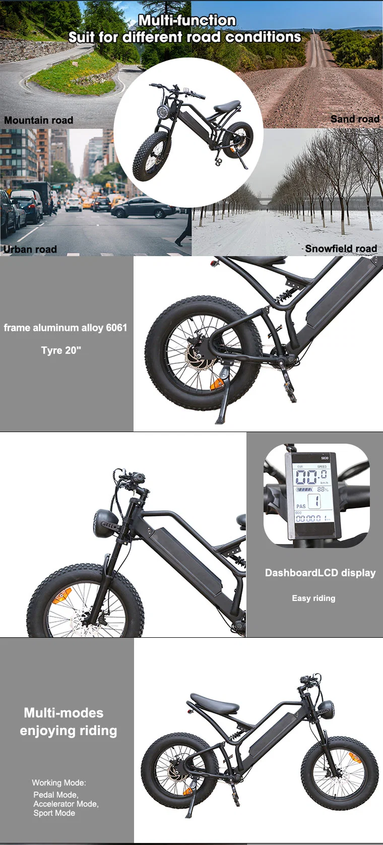 48V 7 Speed Electric Ebike Bicycle Dirt Bike E Snow E-Bike Electric Morotcycle