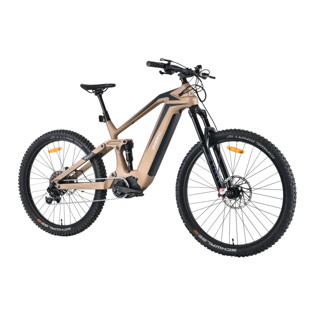 11 Speeds Electric Mountain Bike with Carbon Frame by China Manufacture