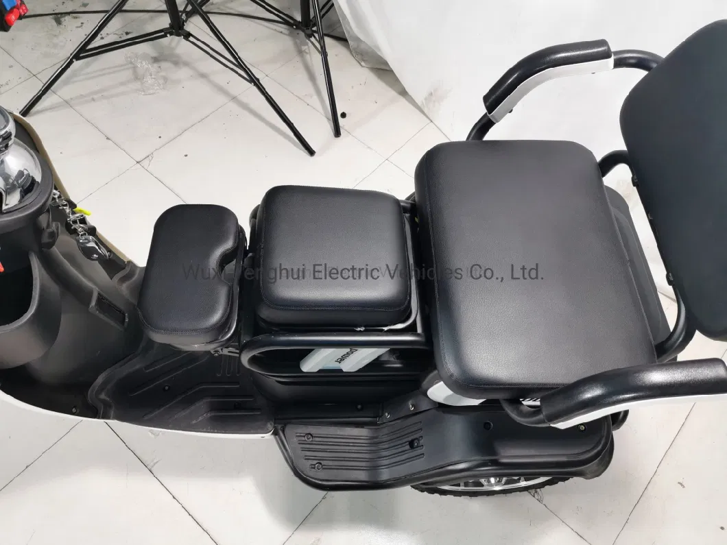 Engtine Chinese 3 Wheels Adults 1000W Electric Motorcycle Electric Tricycles CKD Mobility Scooters