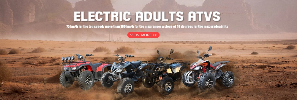 Fast 3000W 72V Electric Quad Bikes Long Range for Adults Two Seats