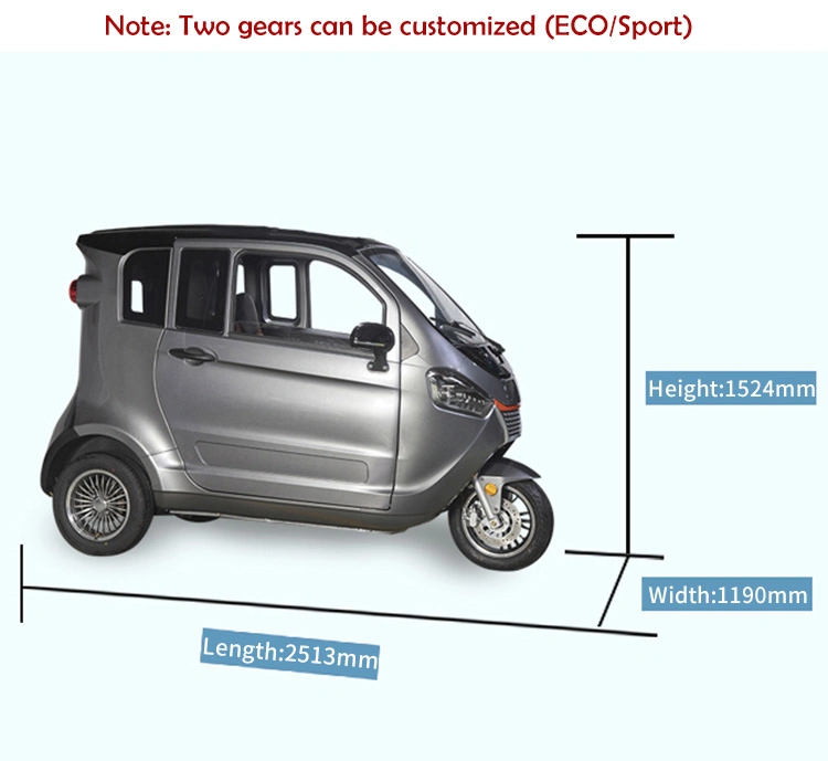 Electric Closed Tricycle Electric Scooter 3 Wheel Trike E Bike