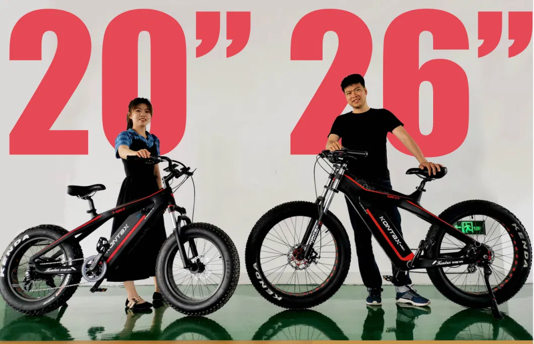 20 26 Inch Electric Mountainbike Dirtbike 500 750 Bici Elettrica