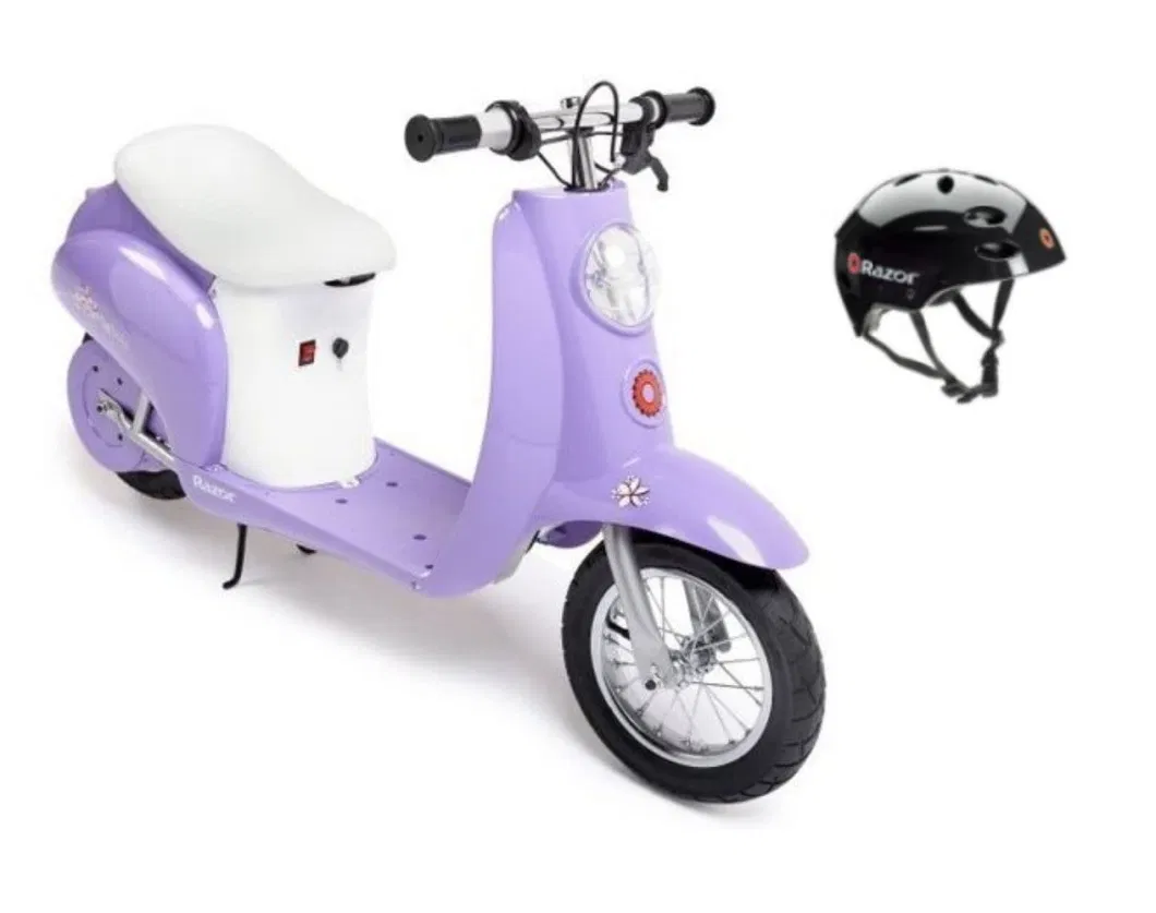 Lead-Acid Battery Electric Mobility Scooter Lithium Battery Electric Motor Scooter with EEC Certificate