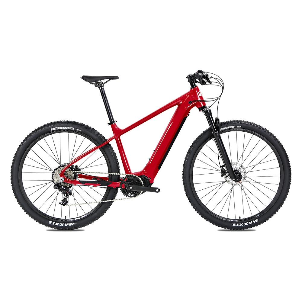 MID Drive Electric Snow Bike 48 500W E Bike Fatbike Full Suspension Adult Electric Mountain Bike