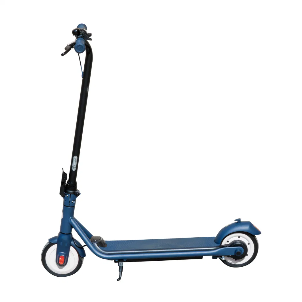 10 Inch Larger Motors Light Stand Adult E Scooter 1300W