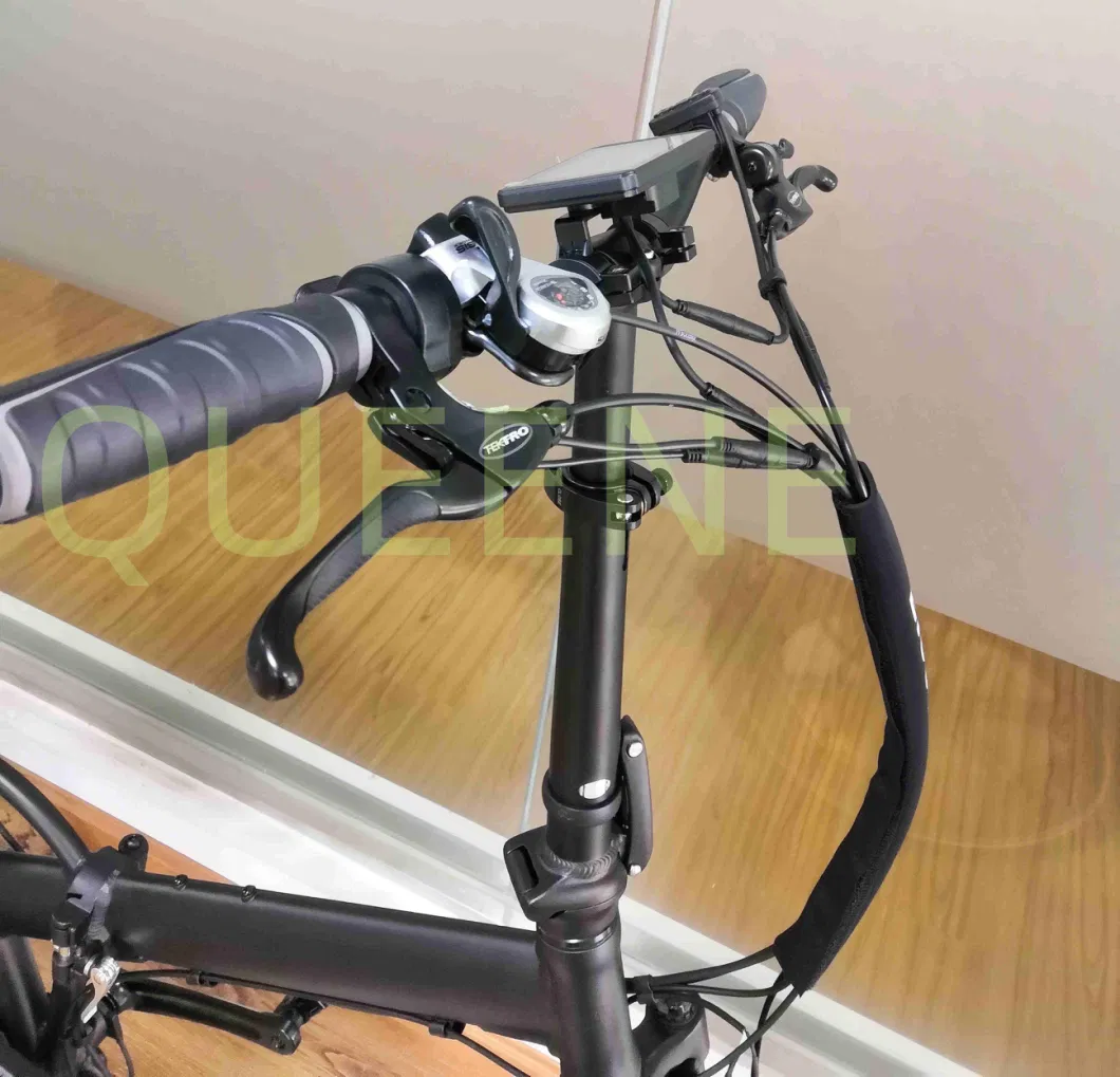 Queene/ Fat Tire E-Bike Drop Shipping Foldable Fatbike E Bicycle Electric Road Ebike City Cycle Bike