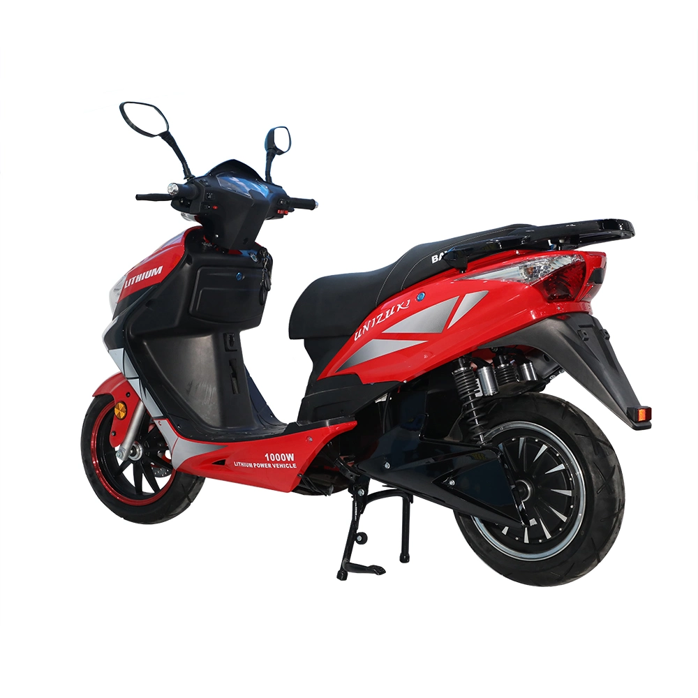 1000W Power Pedal Two-Wheeled Electric Motorcycle