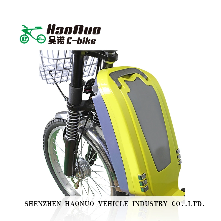 2023 OEM 22 Inch 60V 450watt Electric Bike with Pedal for Adult