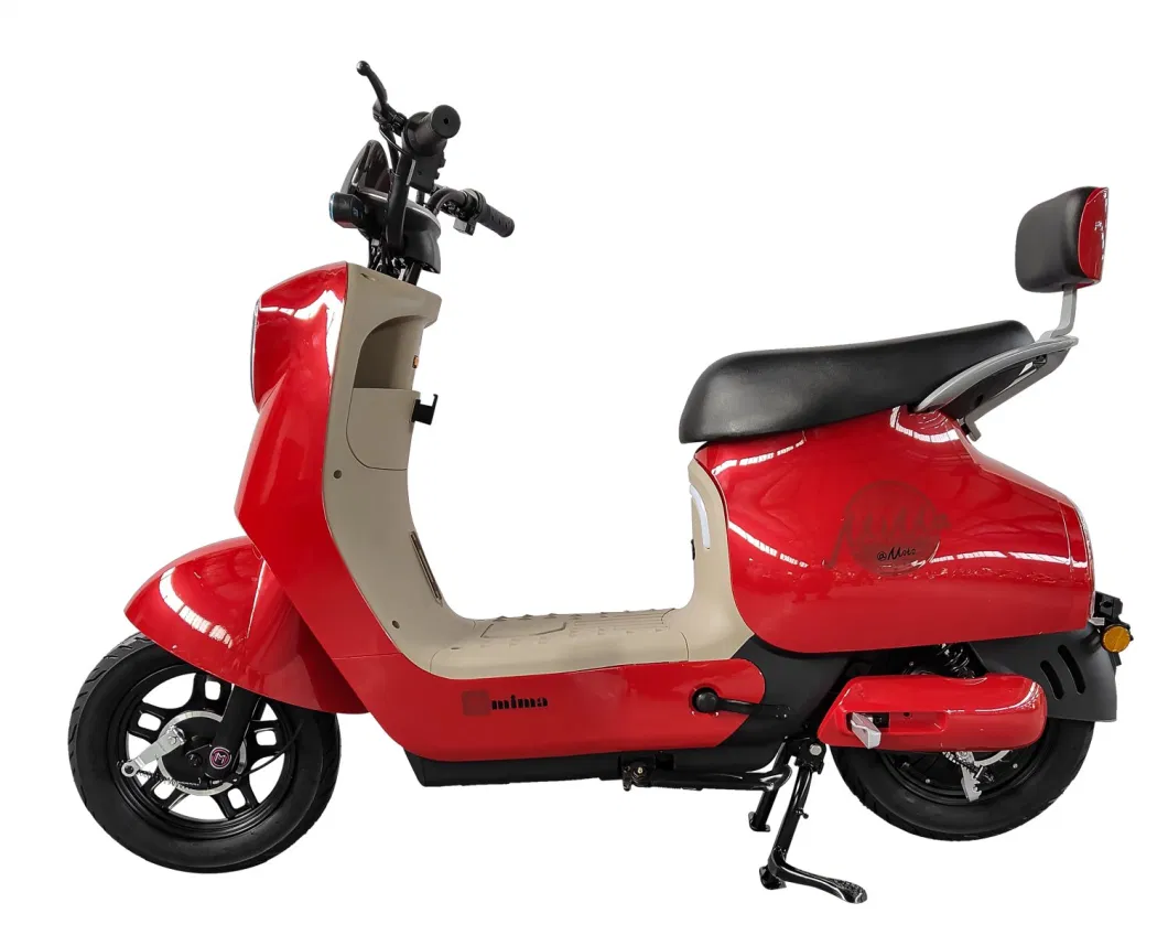 Willstar Ty608 Electric Moped / Electric Bicycle with 48V20ah