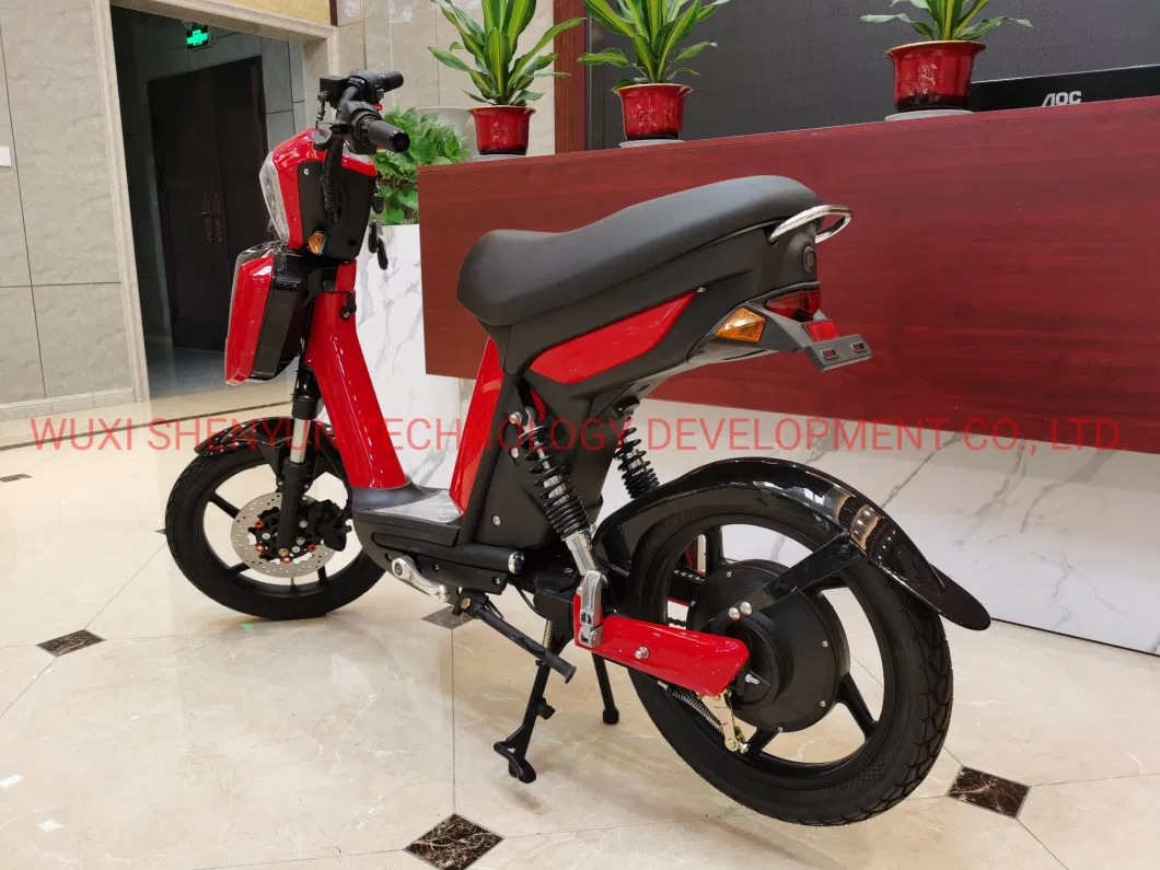 Syev Factory Top Sale Most Popular 2 Wheeled Electric Bike with CE Approval