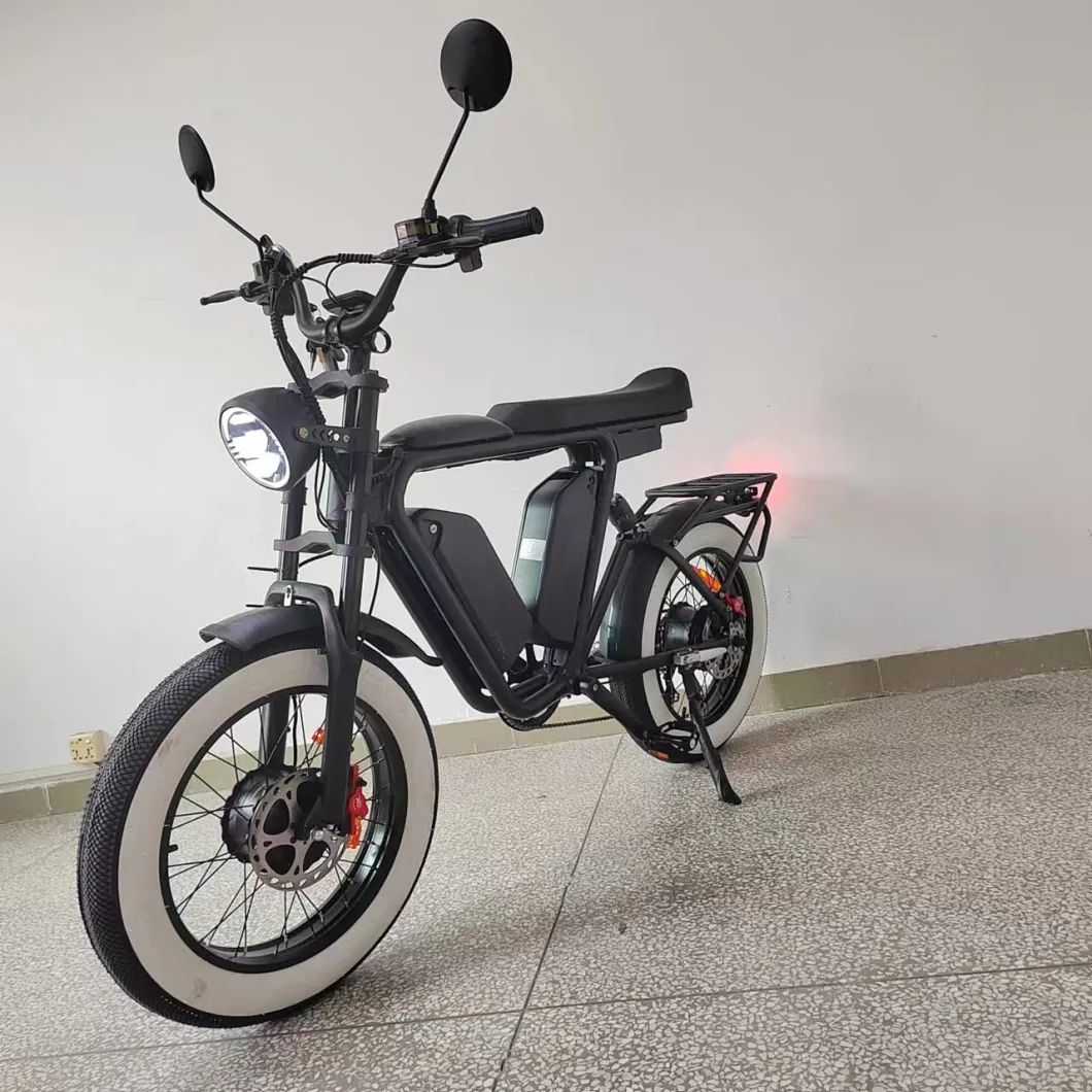 E Bike 52V 2000W 44ah Dual Motor Electric Bike Dual Battery Electric Fat Bike