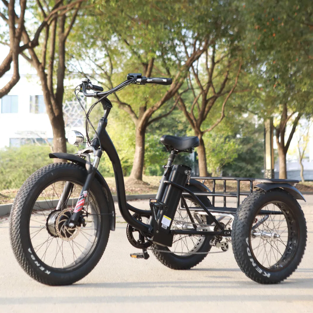 Electric Cargo Trike for Disabled with Fat Tyres