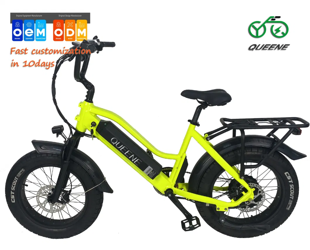 Queene/20 Inch 350W 500W 750W 36V 48V 10ah 15ah 20ah Shimano 7 Speed Folding E Bike Fat Tire Electric Bike