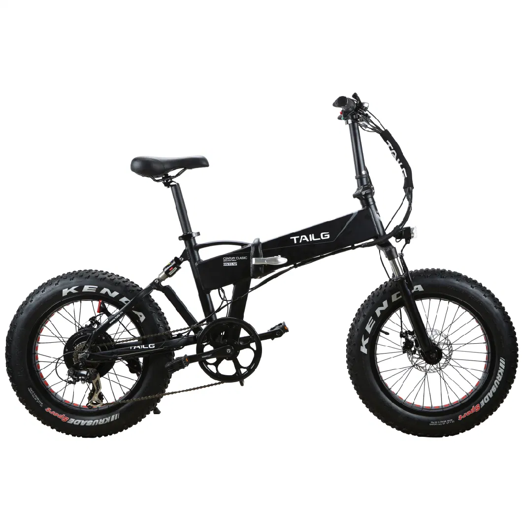 20&quot; Folding Fat Tyre Electric Bicycle with Lithium Battery