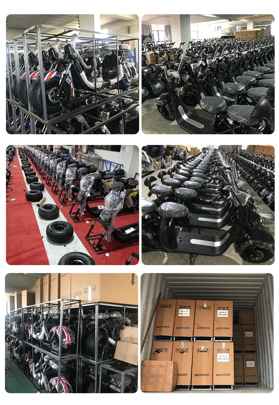 High Quality 60V 20ah Voltage Motorcycle Tricycle Three Wheels Fat Tire Electric Scooter Citycoco for Adults