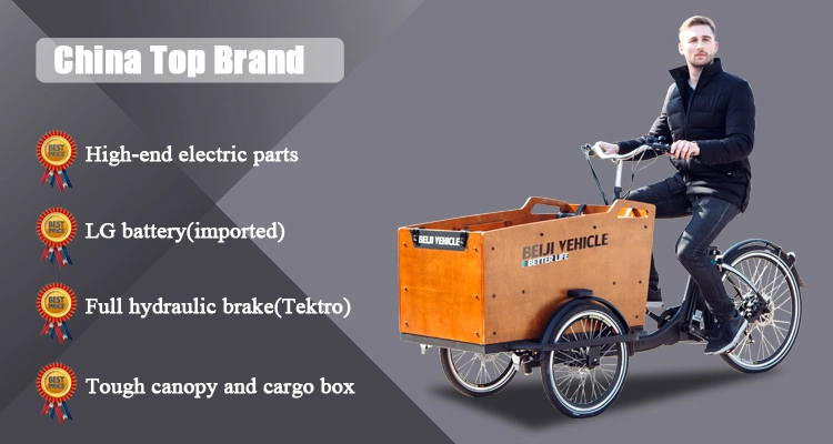 Cargo Bike Three Wheel Electric Cargo Trikes for Carry Child or Grocery Family Use