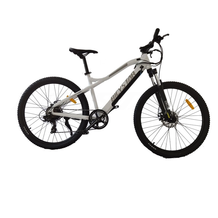 1000 Watt Electric Bike1000W 48V Electric Bike