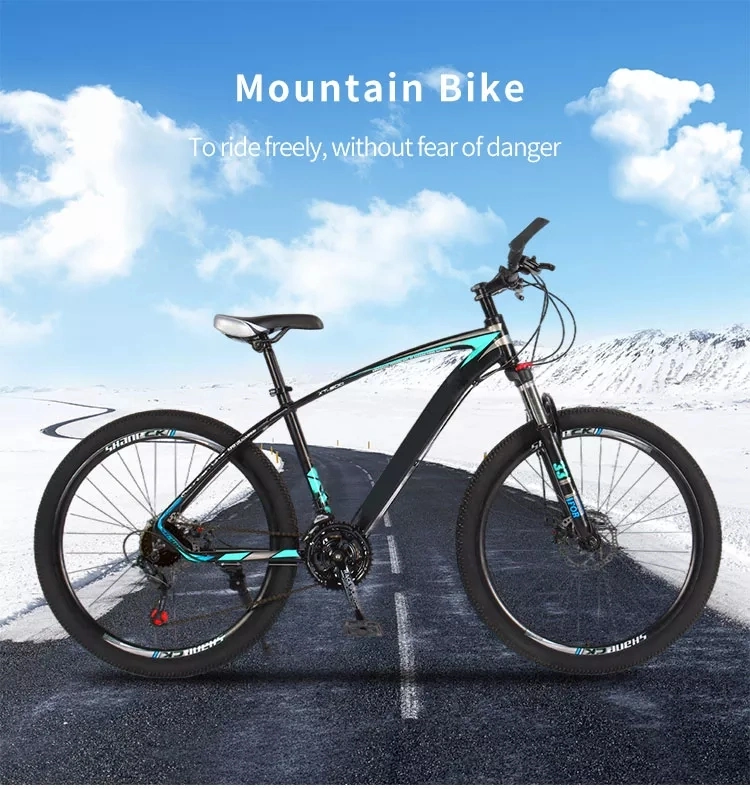 China&prime;s Cheapest Bicycle Dual-Suspension Mountain Bike