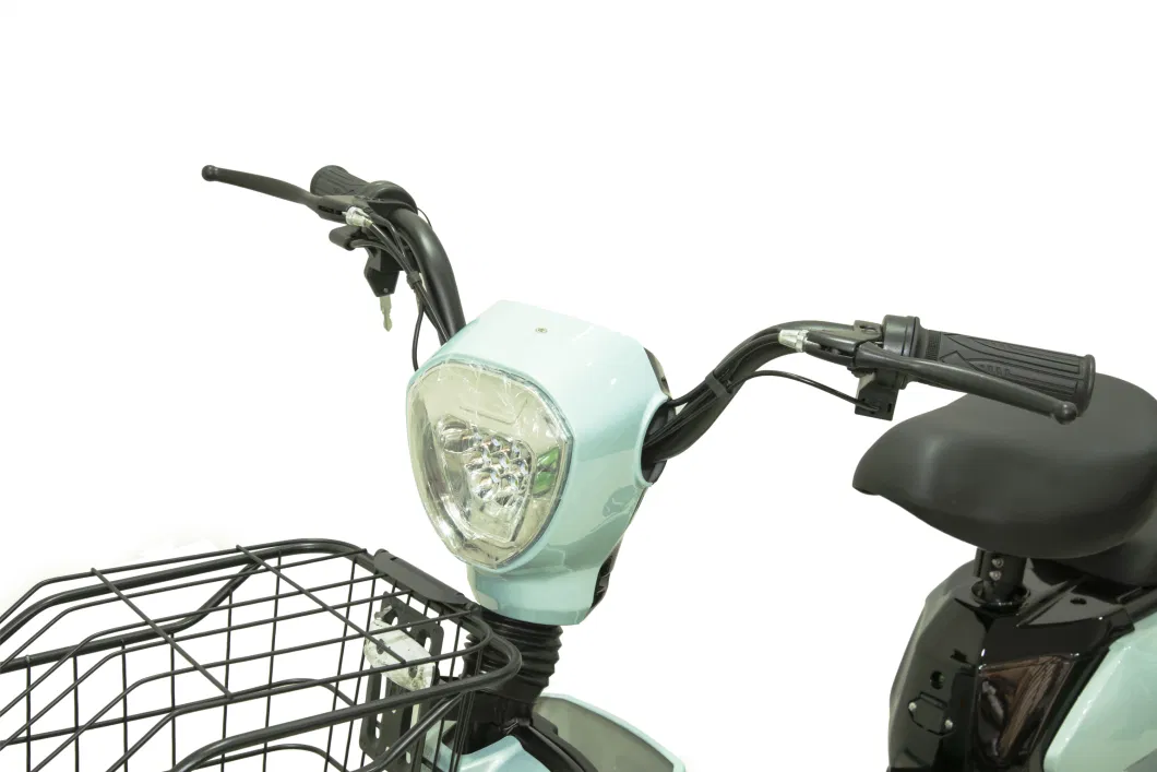 Lead Acid or Lithium Battery Electric Motorcycle Scooter Electric Bike