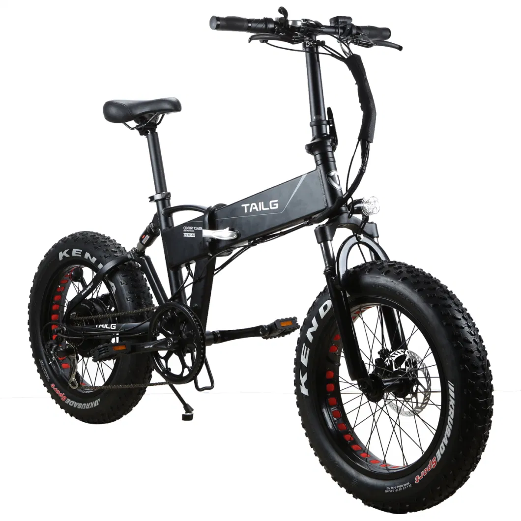 20&quot; Folding Fat Tyre Electric Bicycle with Lithium Battery
