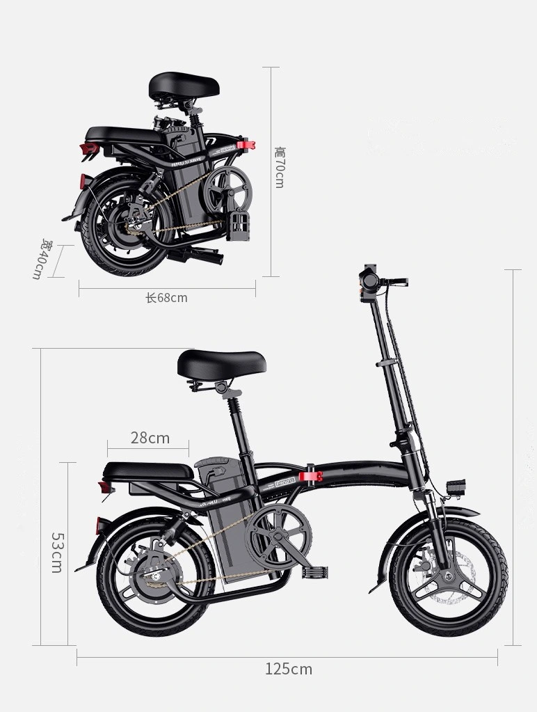 Electric Mountain Bike Snow Bike Scooter of Multiple Size