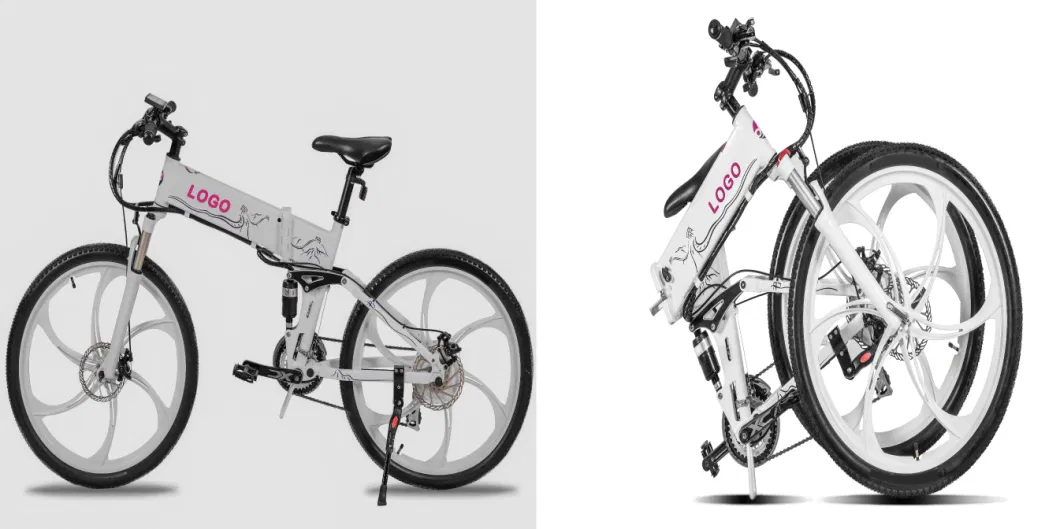 Foldable E Bicycle Aluminium Alloy Frame with Hidden Battery