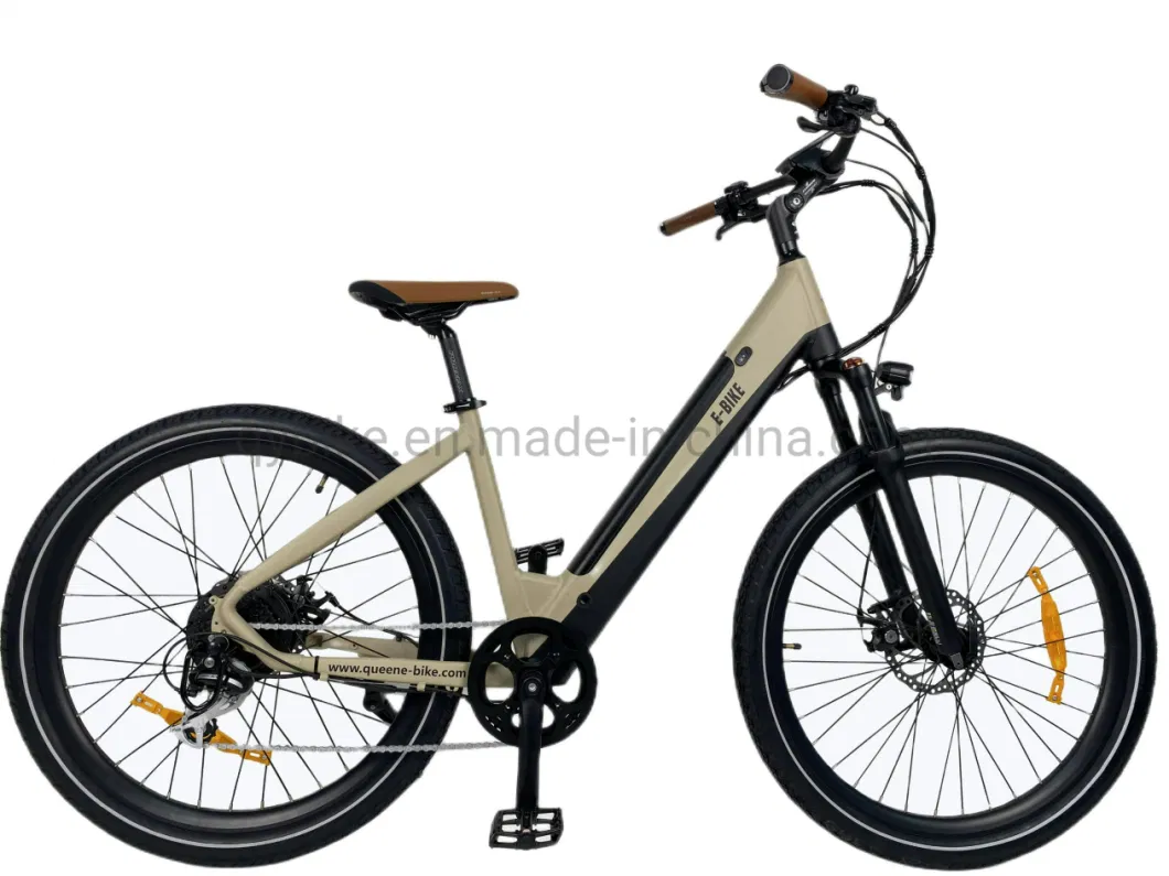 Queene Customized New Retro Electric Bicycle Adult Electric Bike with Suspension