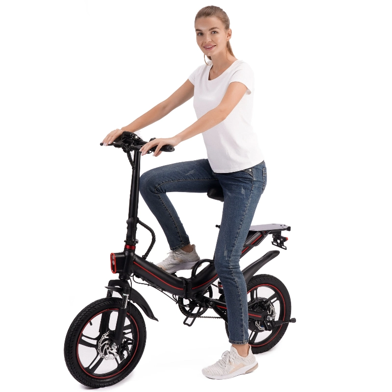 Electric Bike Folding Electric Bicycle Foldable E-Bike Cheap Mini Ebike