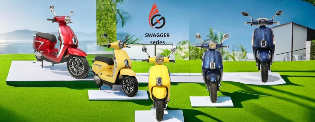 Powerful Two Wheels Adult EEC/Coc Removable E Electric/Electrical Moped City Mobility Scooter with 72V 52ah Lithium Iron Battery 3000W Brushless DC Motor
