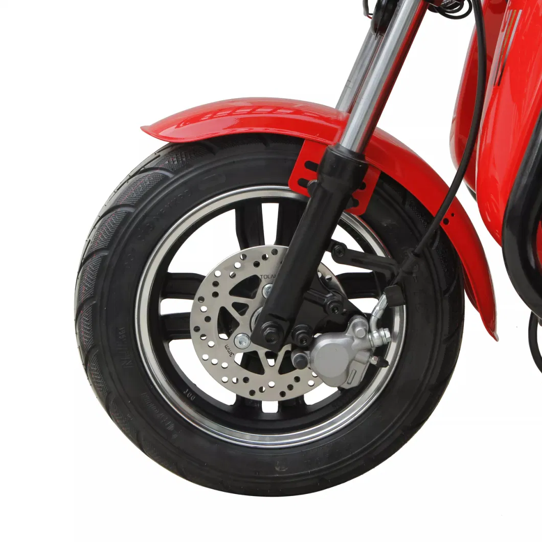 3 Wheel Electric Scooter Motorcycle for Elder Two Adults Electric Tricycle Bicycle