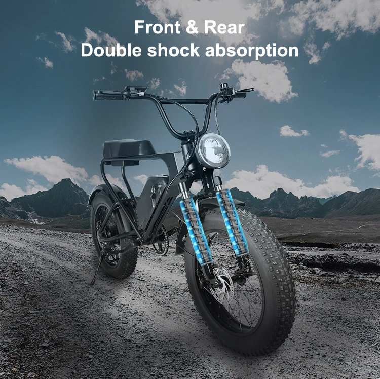 48V DC Ebike 20 Inch Tires Fatbike Fat Bike Bicycle Electric Motorcycle