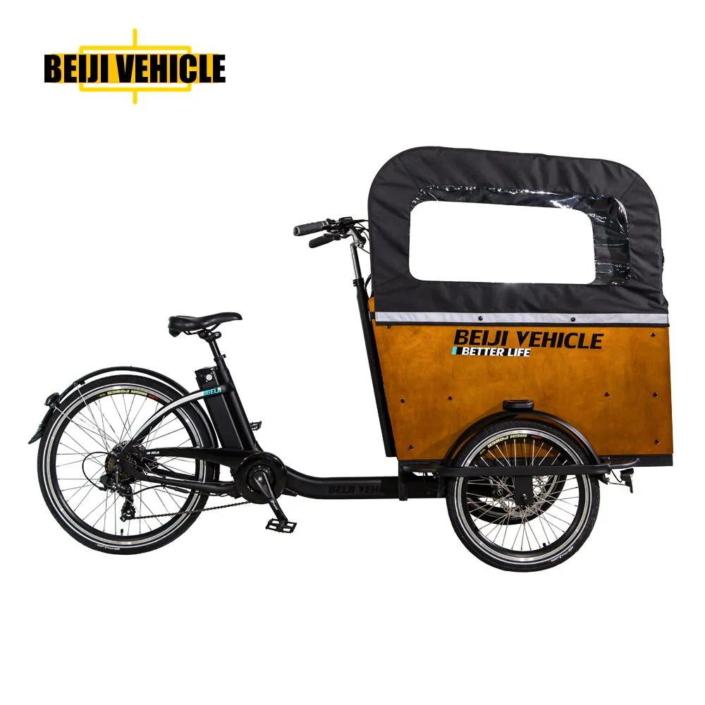 Cargo Bike with Wooden Box Electric Version Tricycle for Carry Children