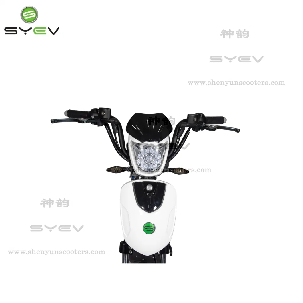 China Cheap Scooter 800W DC Motor Bike Electric Scooter with Pedal Lxqs-3s with 48V Portable Battery 45km/H