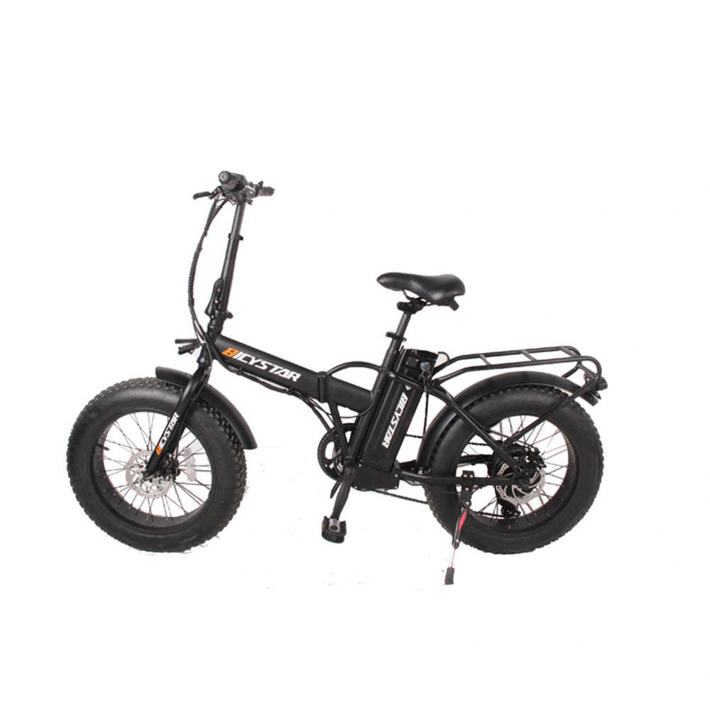 Fat Bike Fat Boy 1000W 750W with Suspension Fatbike Foldable Electric Bike