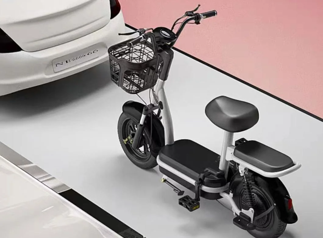 60V 20ah, 60V 32ah, 500W, 12MOS, Drum Brake, Electric Scooter Bike, 3 Wheels Electric Passenger, Cargo Scooter Bike