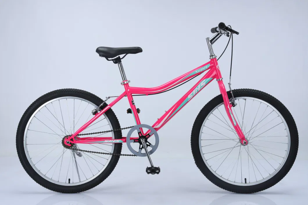 Adult Bike/Bicycle /24 26 Steel Frame Bike