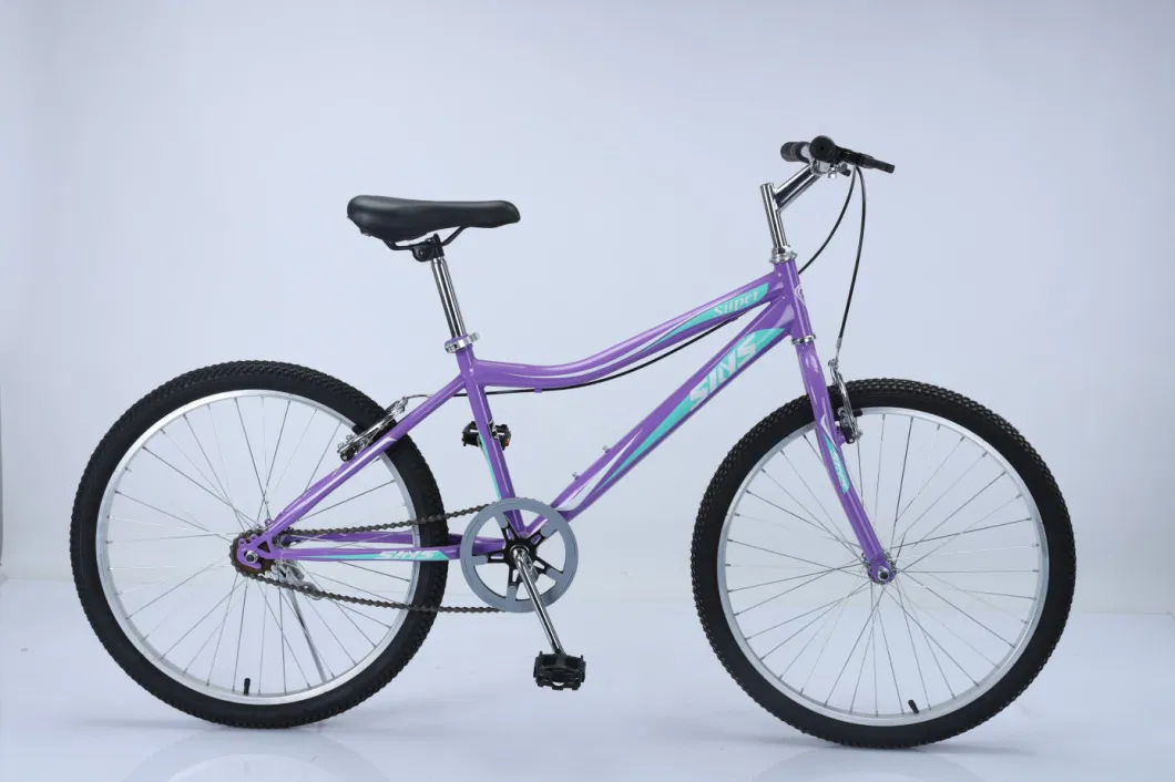 Adult Bike/Bicycle /24 26 Steel Frame Bike