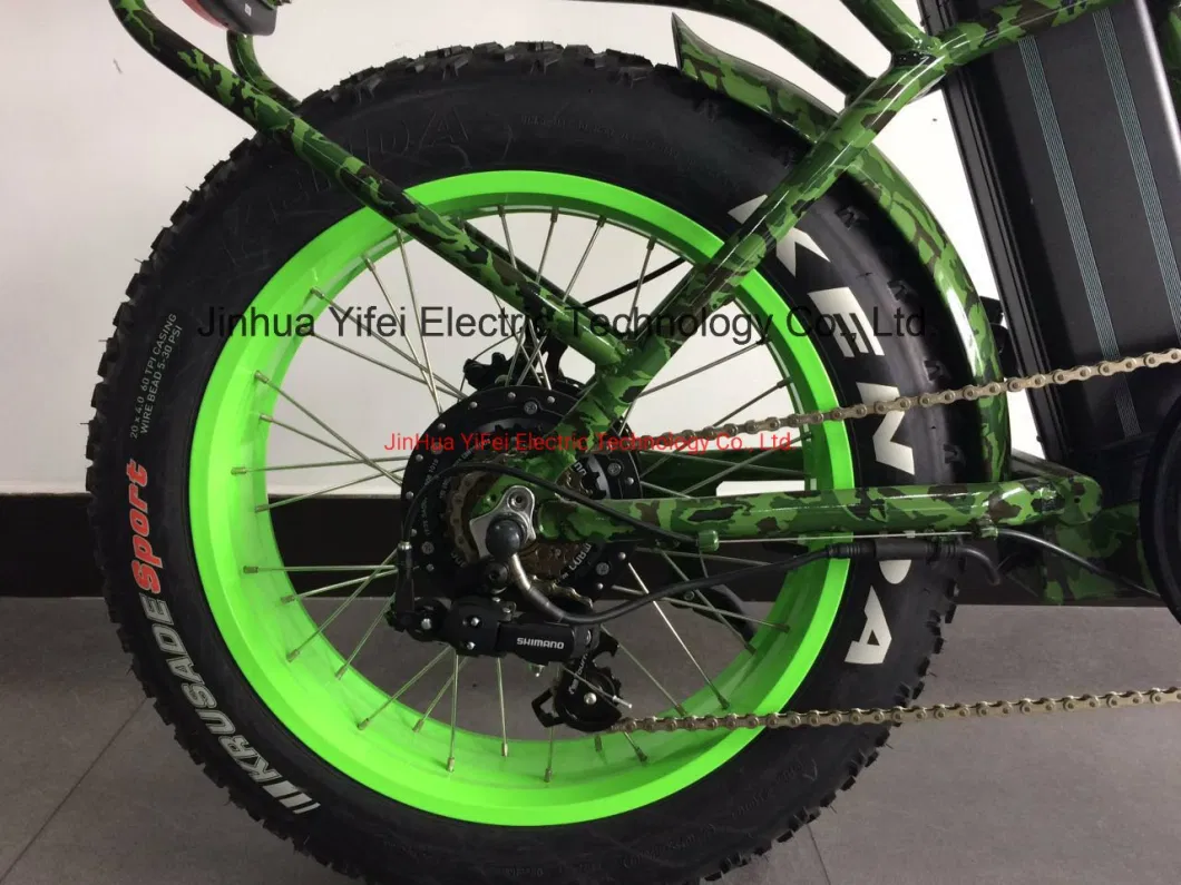 20 Inch Folding Fat Electric Bike with Lithium-Ion Battery MTB Bicicletta Elettrica