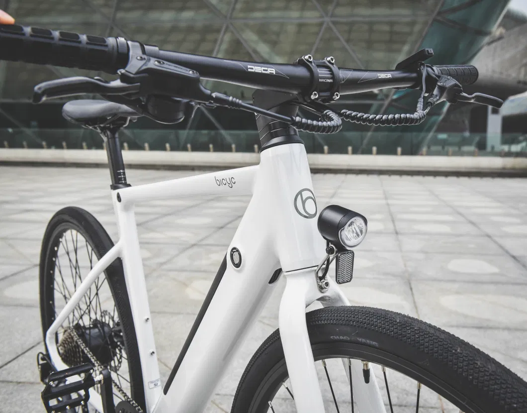 Urban Commuting - Direct Sales of Electric Powered Bicycles by Manufacturers