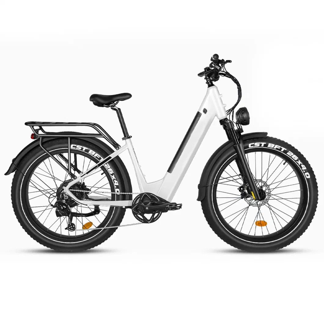 750W Foldable Electric Bike 20X4.0&quot; Fat Tire Foldable Ebike Folding Electric Bike