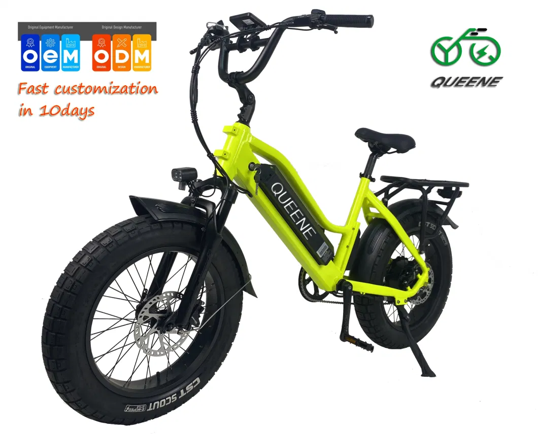 Queene/20 Inch 350W 500W 750W 36V 48V 10ah 15ah 20ah Shimano 7 Speed Folding E Bike Fat Tire Electric Bike