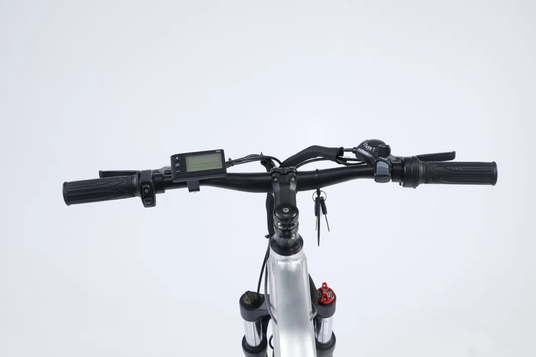 Amazon Hot Selling 750W 1000W Motor E-Bike Fat Tire Mountain Bike Fatbike Electric Bicycle Bike