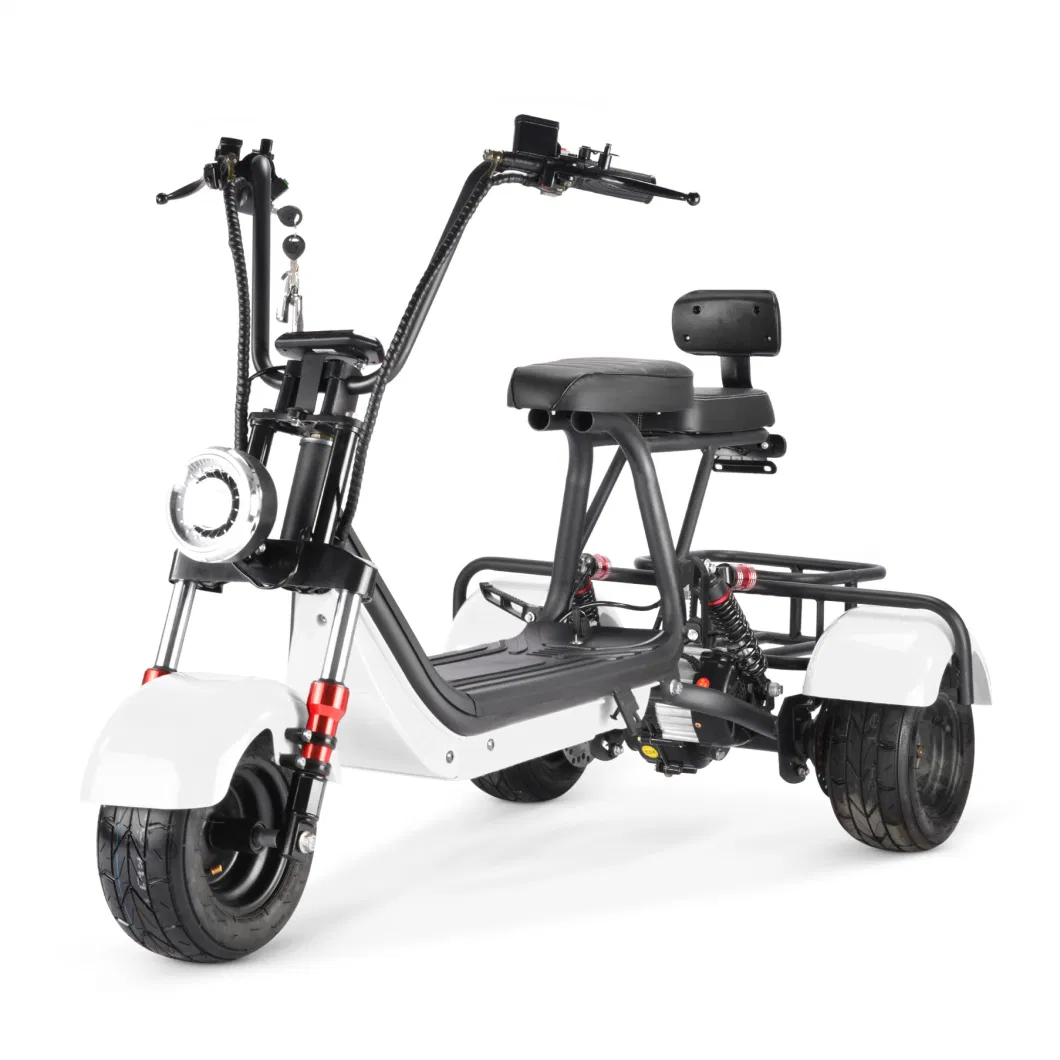 New Arrival Mini Electric Scooter Adults Citycoco 800W Bike