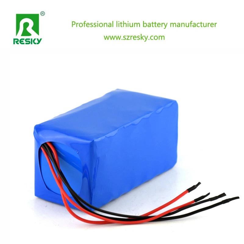 24V 10ah Polymer Lithium Battery for 250W Electric Bike Kit