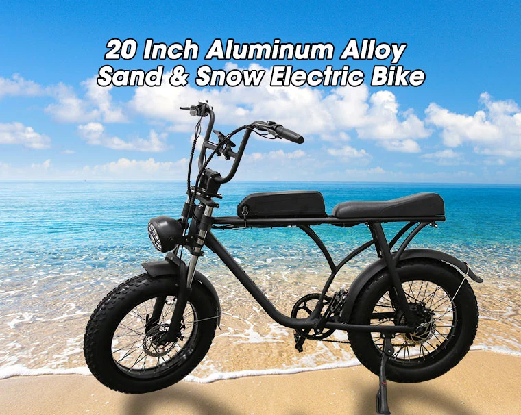 Europe Electric Fat Bike 750W Aluminum Frame for 20 Inch Electric Fat Bike for All Ages